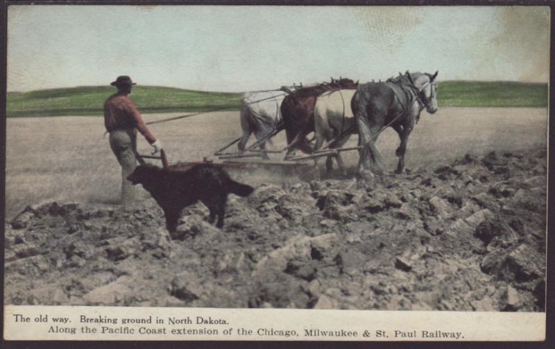 Breaking Ground in ND,Horse and Plow Postcard