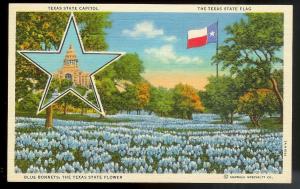 State Capitol Flag & Blue Bonnets Austin Texas unused c1935