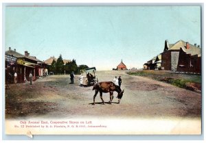 c1910 Cooperative Stores Oak Avenue East Johannesburg South Africa Postcard