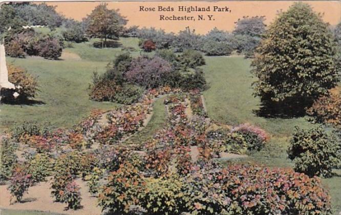 New York Rochester Rose Beds In Highland Park