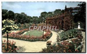 L & # 39Hay pink Modern Postcard The Rose Garden