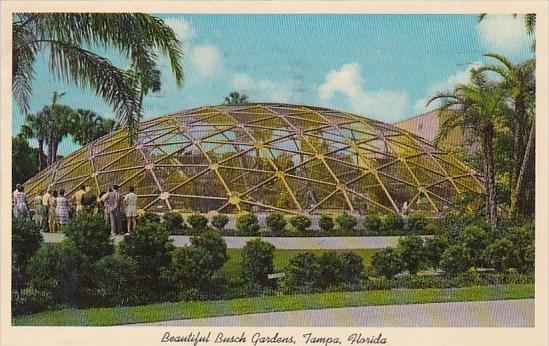 Beautiful Busch Gardens Tampa Florida 1963