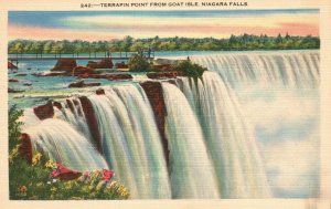 Vintage Postcard 1930's Terrapin Point Goat Isle Niagara Falls Ontario Canada CA