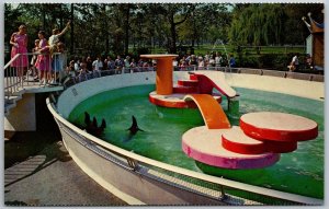Royal Oak Michigan 1960s Postcard Detroit Zoological Park Children's Zoo