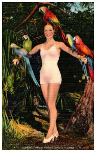 Floriida  Sexy Girl with Parrots
