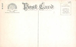 Overlooking Road Cedars in Caldwell, New Jersey