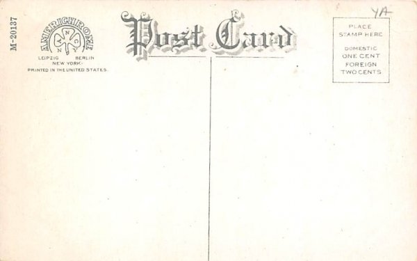 Overlooking Road Cedars in Caldwell, New Jersey