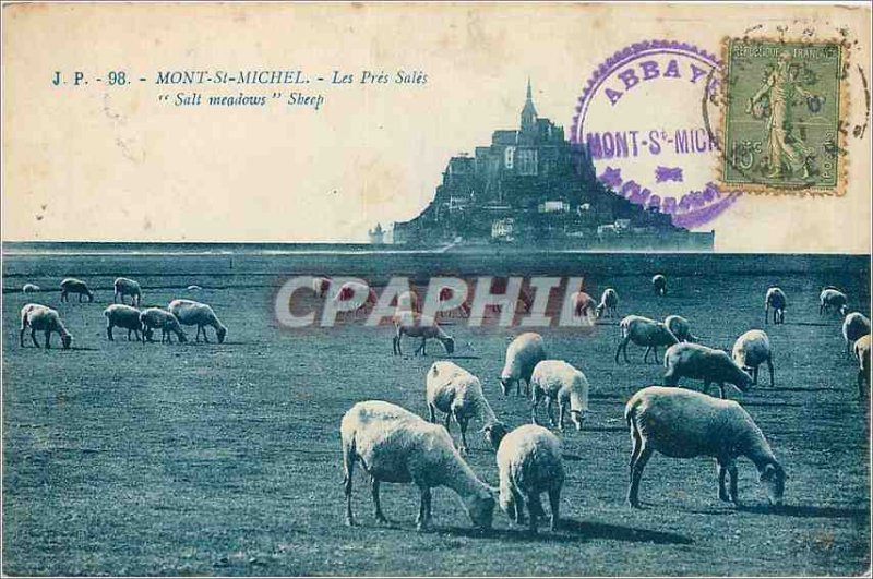 Old Postcard Mont St Michel Les Pres Sales Sheep