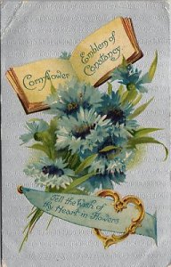 VINTAGE POSTCARD CORNFLOWER REFLECTIVE GREETINGS MAILED FROM POOLE U.K. 1908