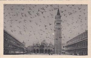 Italy Venezia Piazza San Marco Volata di Piccioni