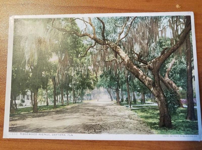 Antique Postcard entitled Ridgewood Avenue, Daytona, Fla.  Phostint 13432