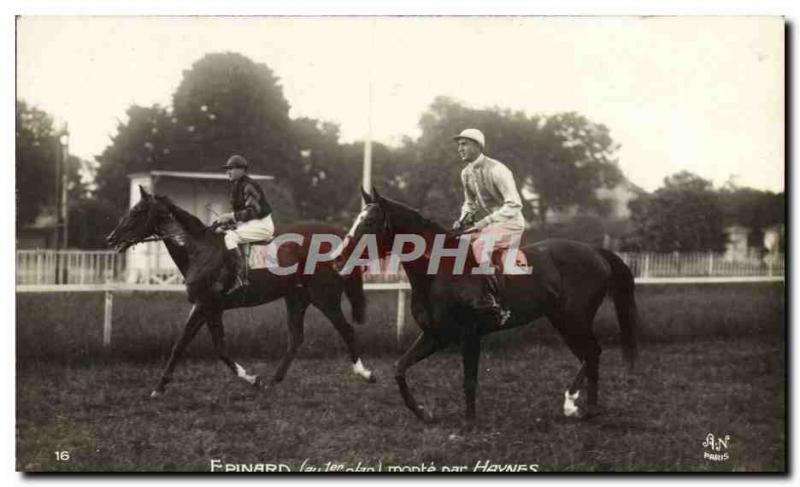 Old Postcard Horse Riding Equestrian Spinach goes by Haynes