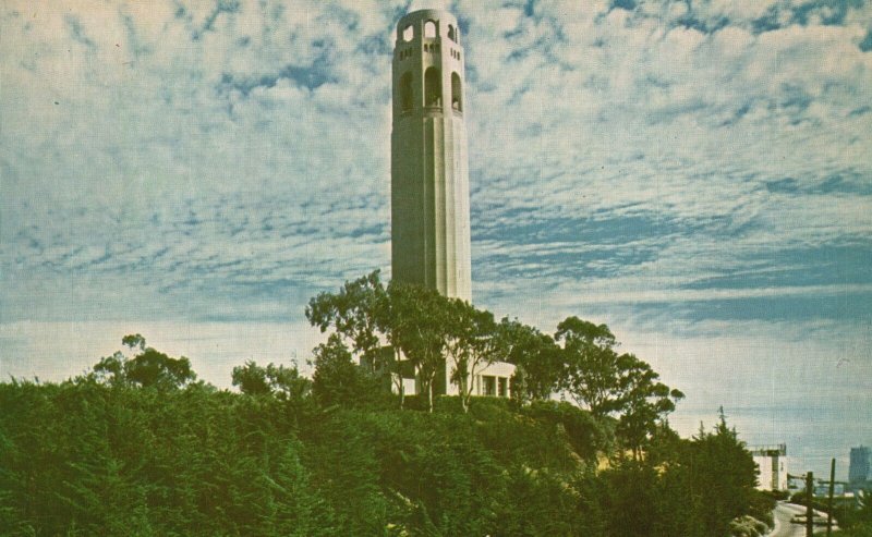 Vintage Postcard 1930's Colt Tower Atop Telegraph Hill San Francisco California