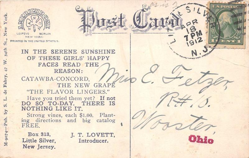 D63/ Advertising Postcard c1910 Little Silver New Jersey Lovett Catawba Grapes