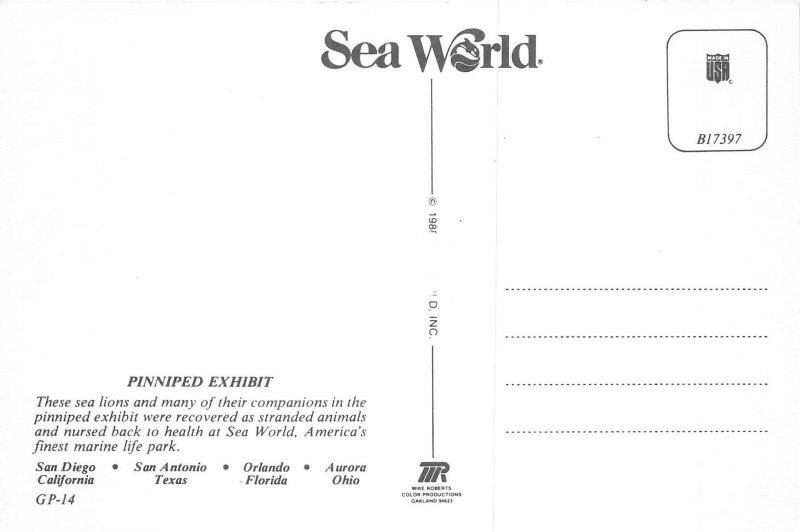 Lot 8 usa sea world marine sea park pinniped exhibit sea lions