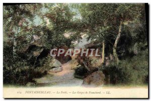 Old Postcard Fontainebleau La Foret Gorge Franchard