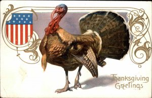 Thanksgiving Turkey Patriotic US Flag Shield Embossed c1900s-10s Postcard