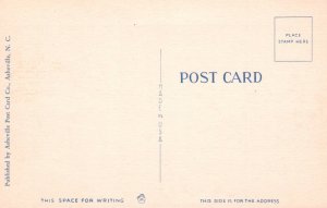 Sand Dunes Along the Southern Coast