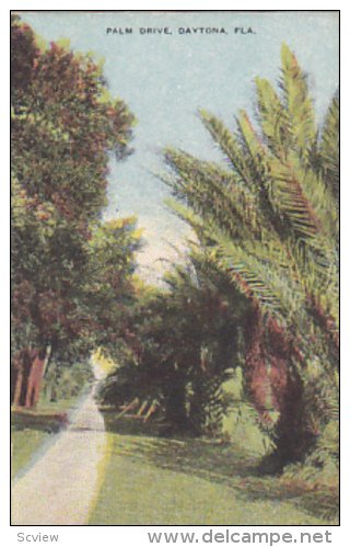 Palm Drive , DAYTONE , Florida , 00-10s