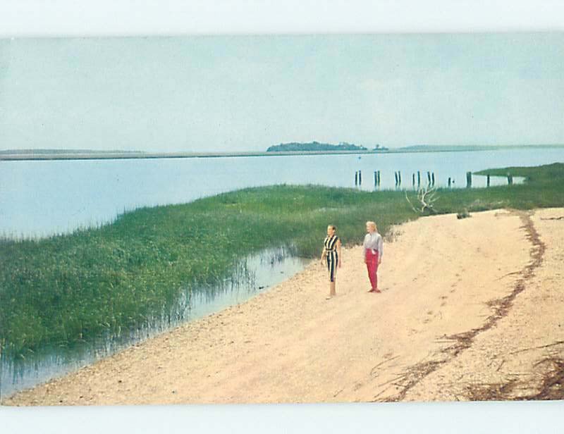 Pre-1980 NATURE SCENE Hilton Head Island South Carolina SC AD6256