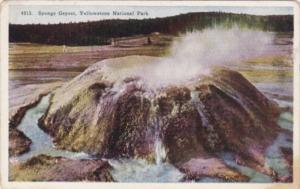 Sponge Geyser Yellowstone National Park