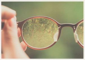 Mirror Spectacles Glasses Showing Dangerous Woods German Postcard