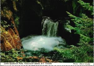 Little Qualicum Falls Vancouver Island BC British Columbia c1989 Postcard D41