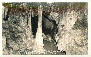 Entrance Vegetable Garden Lehman Nevada G1940s RPPC Photo Postcard 20-7848