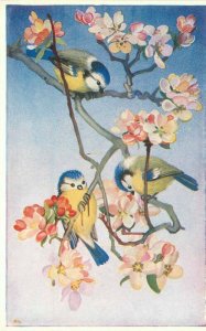 Bluetits Birds Heda Armour Postcard Apple Blossoms Medici 21-5196