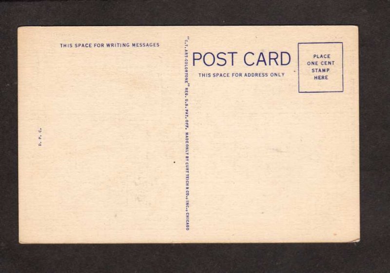 TX Blue Bonnet Bluebonnet State Flower Texas Linen Postcard