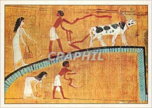 Postcard Modern Cairo Egyptian Museum Herouben and his Wife cultivating field...