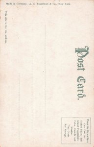 J79/ Norfolk Virginia Postcard c1910 Confedarate Monument 340