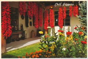 Colorful Chili Peppers Hanging out to Dry - New Mexico