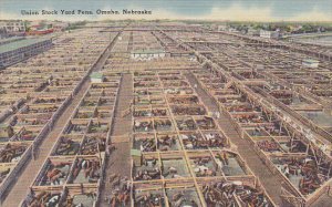 Nebraska Omaha Union Stock Yard Pens