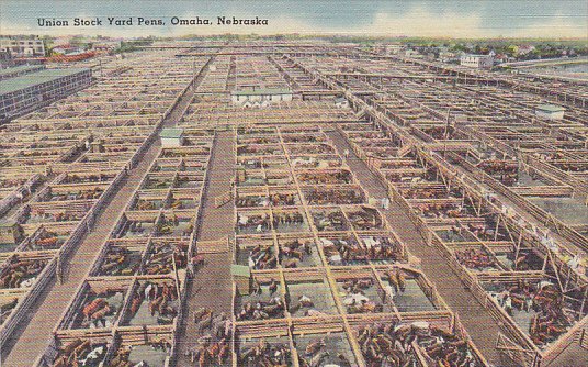 Nebraska Omaha Union Stock Yard Pens