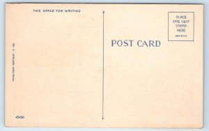 Greetings From FOLEY, AL Alabama ~ APPLE EXAGERRATION c1940s Linen Postcard