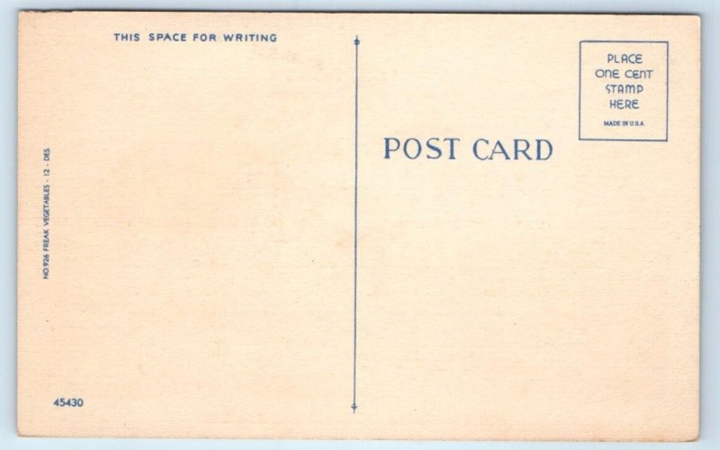 Greetings From FOLEY, AL Alabama ~ APPLE EXAGERRATION c1940s Linen Postcard