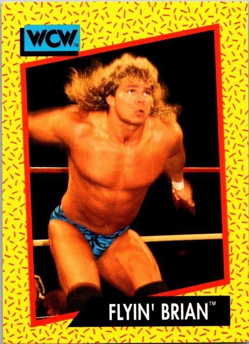 1991 WCW Wrestling Card Flyin' Brian Brian Pillman sk21218