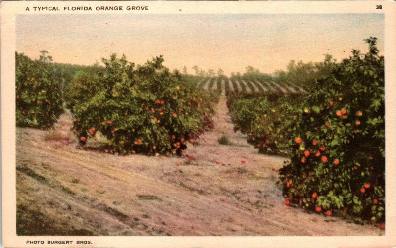 Orange Grove,FL BIN