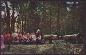 Santa,Sleigh,Santa's Village,Sky Forest,CA Postcard 