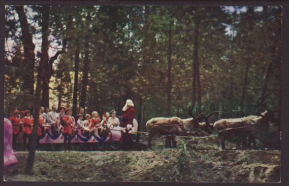 Santa,Sleigh,Santa's Village,Sky Forest,CA Postcard 