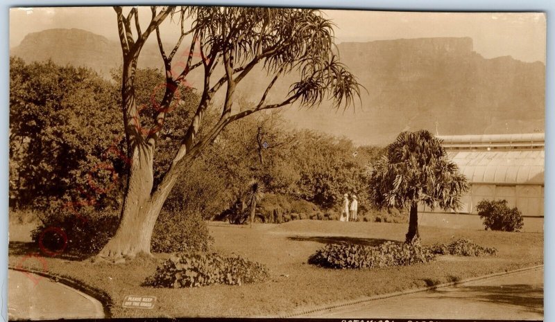 c1910s Cape Town, SA RPPC Botanical Gardens Real Photo Postcard C. Town A126