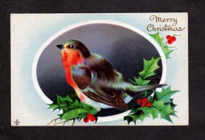 Merry Christmas Greetings Bird Holly 1911 Postcard