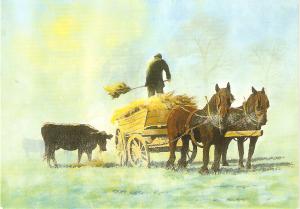 Working horses. Hay carting Nice modern English PC. Size 6 x 4