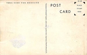 Moss Covered Trees Charleston, South Carolina