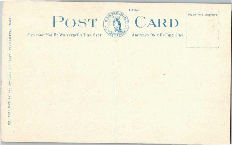 Tracks in the Sand, Sand Dunes, Cape Cod MA Vintage Postcard D02