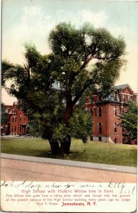 High School with Historic Willow Tree, Jamestown NY UDB Vintage Postcard I37