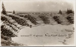 Prince Albert SK Prince Albert Lumber Co Spruce Trees Waterworth Postcard E96 