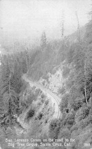 SAN LORENZO CANYON Road To Big Tree Grove, Santa Cruz c1910s Vintage Postcard