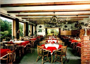 Molln, Germany  FORSTHAUS AM WILDPARK  Restaurant~Cafe  ANIMAL PARK 4X6 Postcard